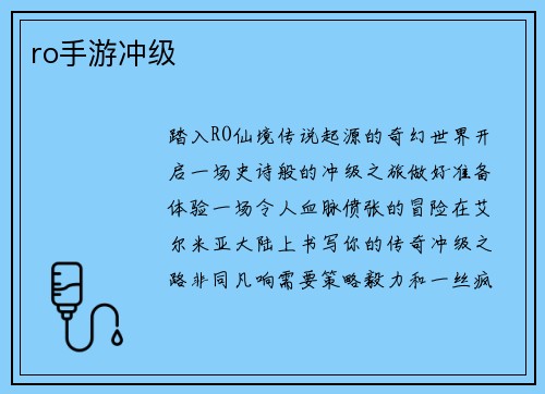 ro手游冲级